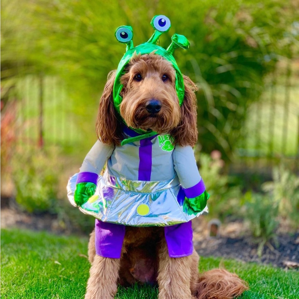 Alien costume